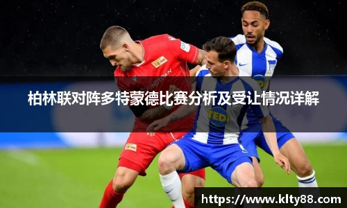 米乐yy易游